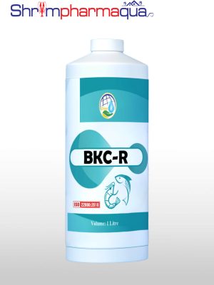 BKC-R - Diệt khuẩn nước, xử lý tảo ao tôm