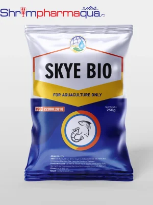 Men vi sinh làm sạch nước, đáy ao chuyên dùng