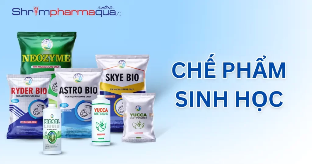 Chế phẩm sinh học cho tôm