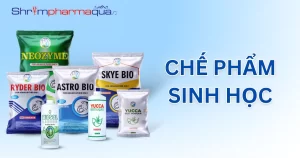 Chế phẩm sinh học cho tôm