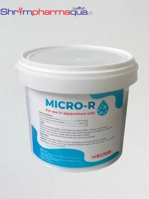 MICRO-R - Vi sinh hạt xử lý nước, giảm tảo, phân huỷ mùn bã hữu cơ cho ao quảng canh